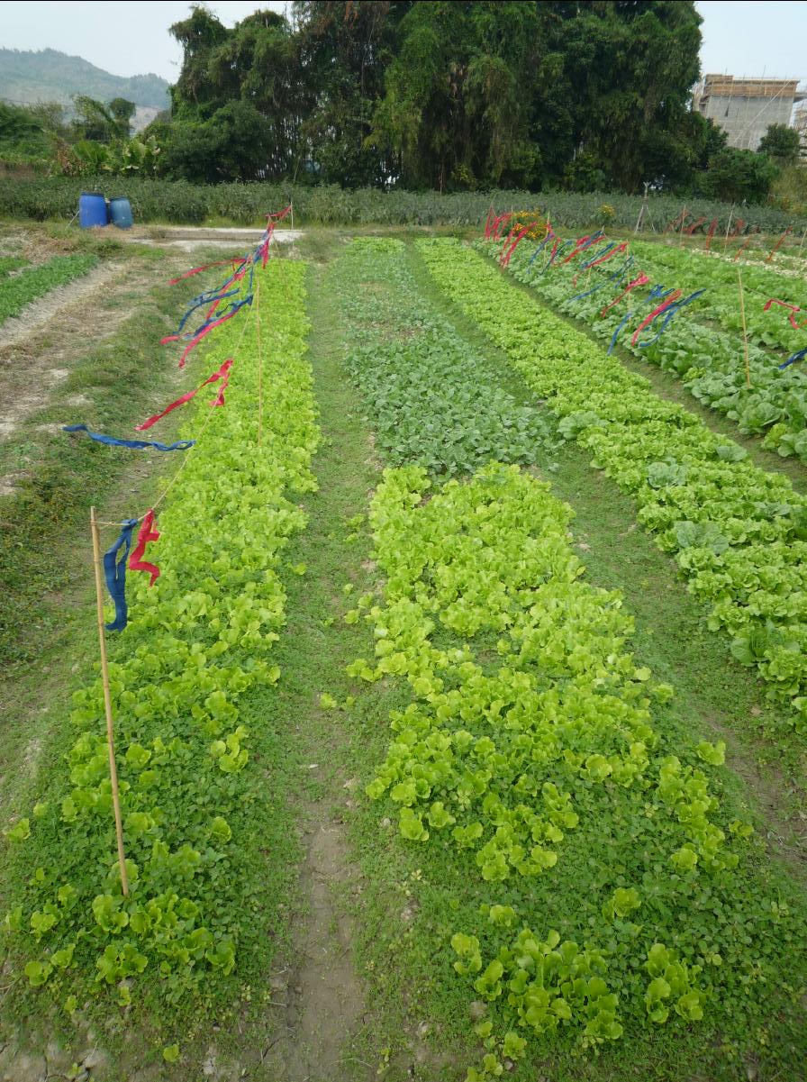 20101127 THE Organic Farm18